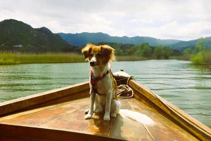 Skadar Lake National Park Guided Boat Tour with Wooden Boat
