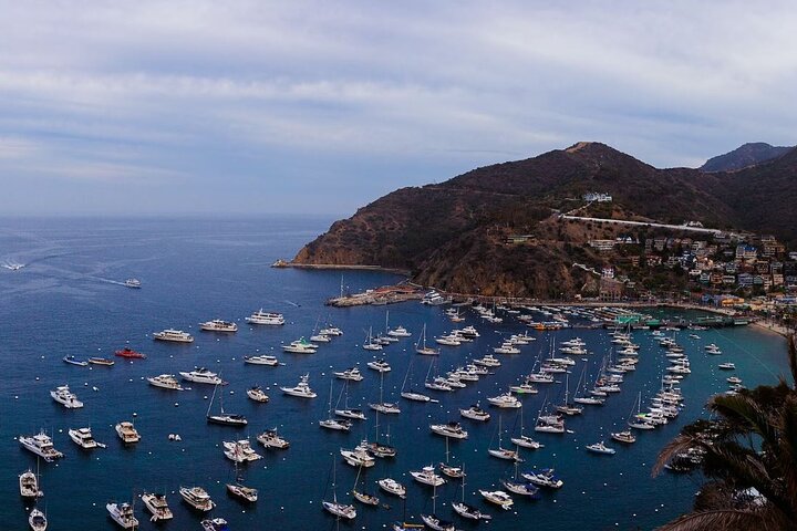 Catalina Island Ferry Avalon to Newport Beach