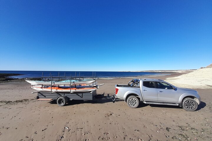 Kayak Paddling Experience with Sea Lions in Puerto Madryn