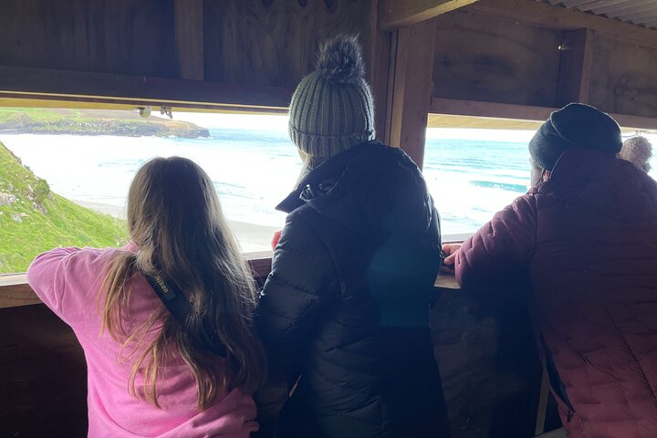 Clearwater Wildlife Tours (small group 10max) Otago Peninsula
