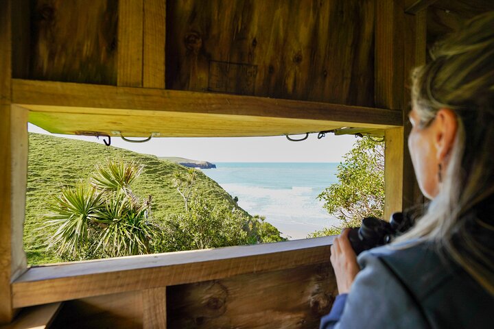Clearwater Wildlife Tours (small group 10max) Otago Peninsula