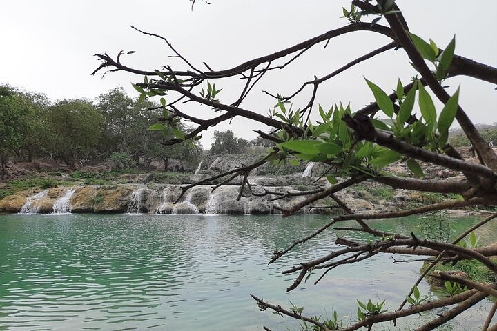 East Salalah mountain Safari - Full day tour