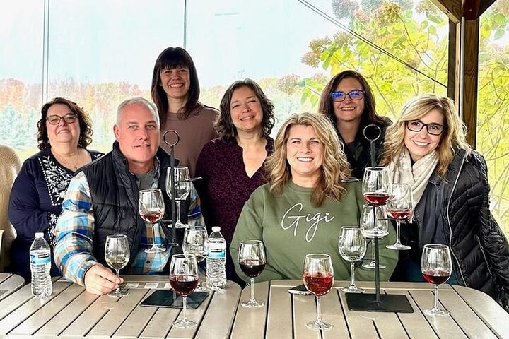NON-BUS 4 Winery Traverse Wine Tour on Old Mission - ICE COLD AC