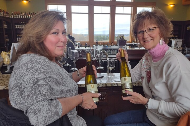 NON-BUS 4 Winery Traverse Wine Tour on Old Mission - ICE COLD AC