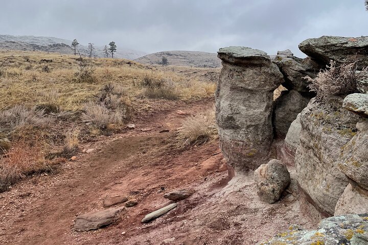 Guided Hiking Tours near Fort Collins
