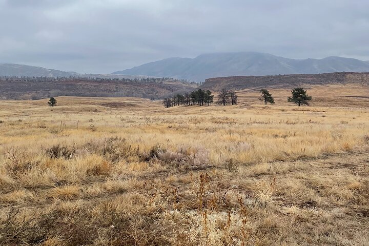 Guided Hiking Tours near Fort Collins