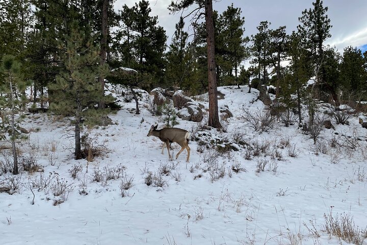 Guided Hiking Tours near Fort Collins