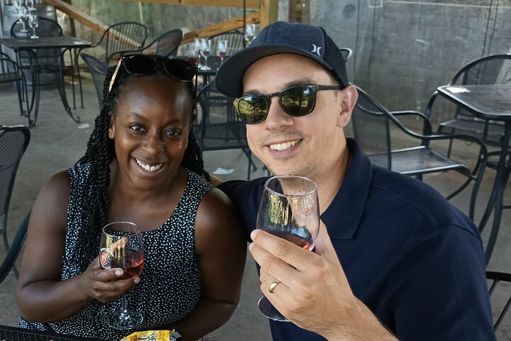 NON-BUS 4 Winery Traverse Wine Tour on Old Mission - ICE COLD AC