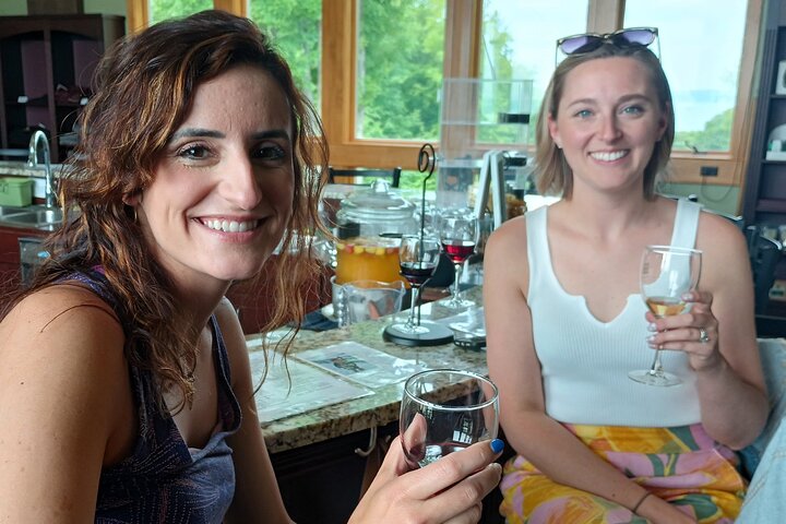 NON-BUS 4 Winery Traverse Wine Tour on Old Mission - ICE COLD AC