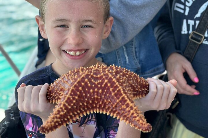 Nassau 3-stops: Snorkeling, Swimming Pigs, Turtles & Lunch