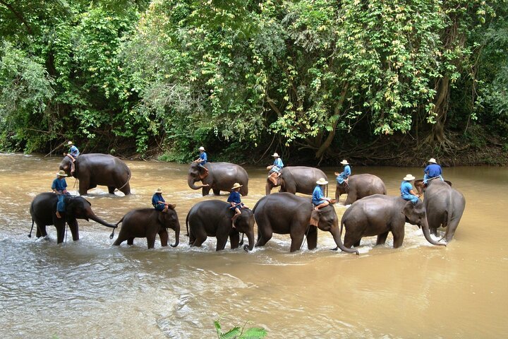 Full Day Group Tour in Chiang Rai