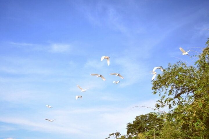 Demerara Sunset Cruise