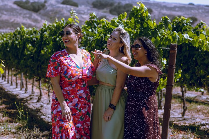 3-Winery Santa Ynez Tour with Picnic Lunch & Tasting Fees