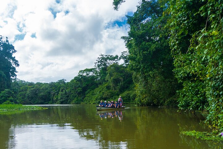 Tortuguero:Canoe tour, day hike, hill tour, night or spawning tour