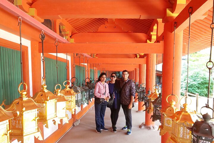 Nara Customized Private Tour in 1 Day with Licensed Guide