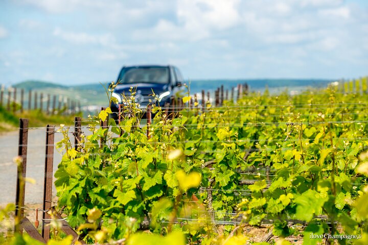 Reims or Epernay: Full day Champagne Mumm, family grower & lunch
