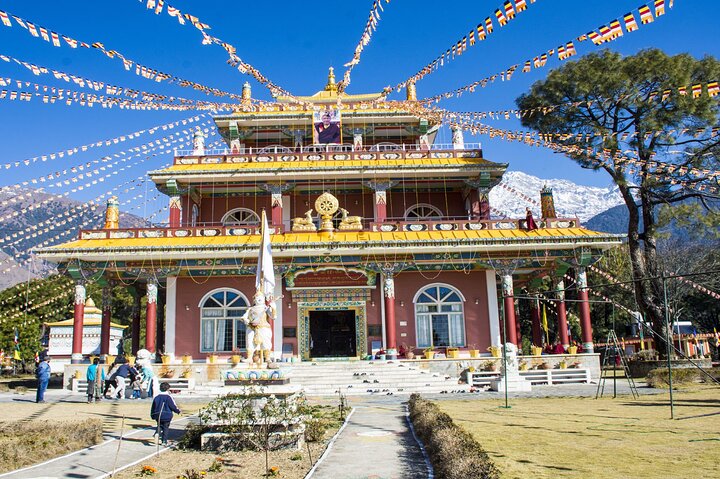Guided Tour to Palampur-Monasteries, Temple & Tea Gardens visit