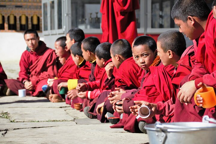 Guided Tour to Palampur-Monasteries, Temple & Tea Gardens visit