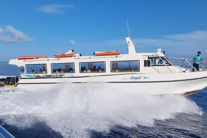 Praslin-La Digue Day Trip from Mahe Island Seychelles