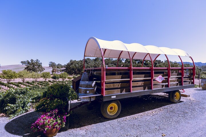 3-Winery Paso Robles Tour with Picnic Lunch from Paso Robles