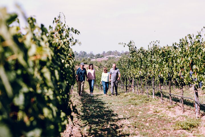 3-Winery Paso Robles Tour with Picnic Lunch from Paso Robles