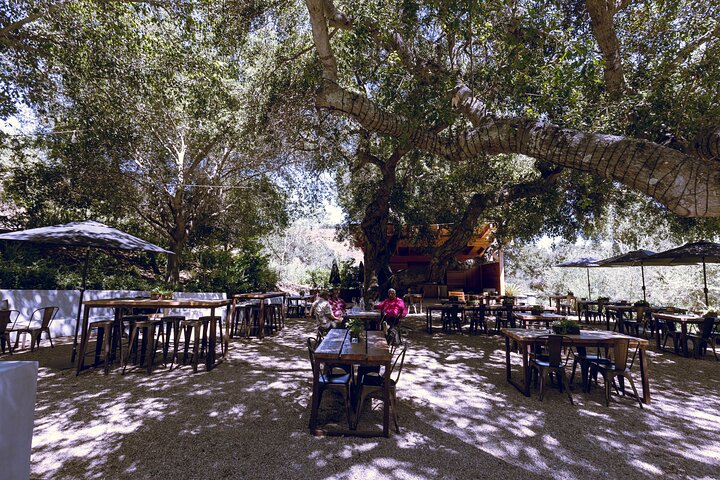 3-Winery Santa Ynez Tour with Picnic Lunch & Tasting Fees
