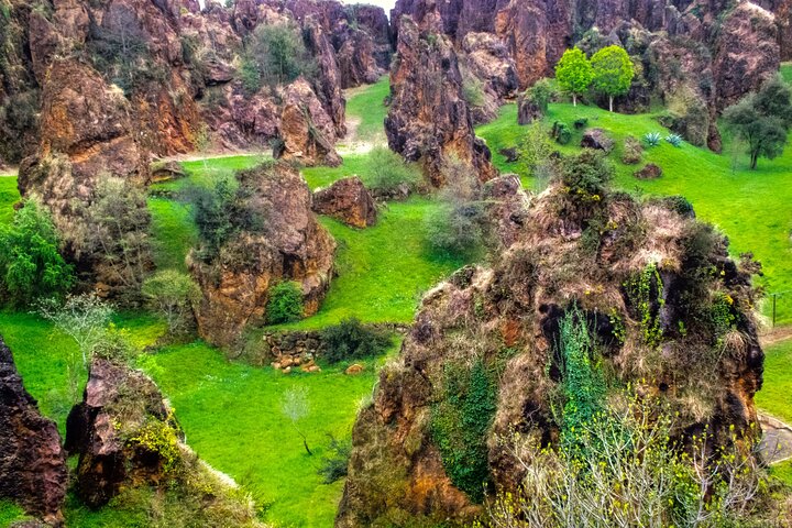 Cabarceno Natural Park Guided Visit from Santander