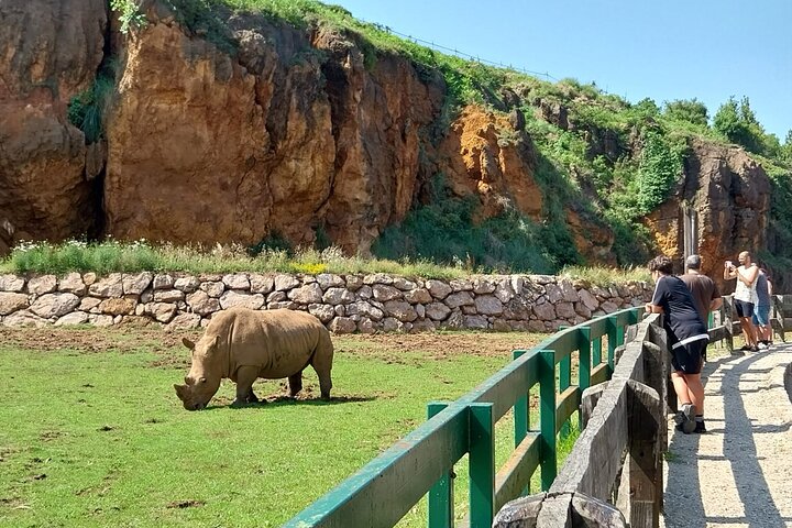 Cabarceno Natural Park Guided Visit from Santander