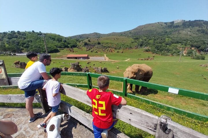 Cabarceno Natural Park Guided Visit from Santander