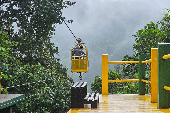 Mindo Cloud Forest: Hummingbirds, Birding & Waterfall Tour