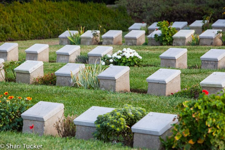 Private Anzac Trail Tour Walk In Their Footsteps