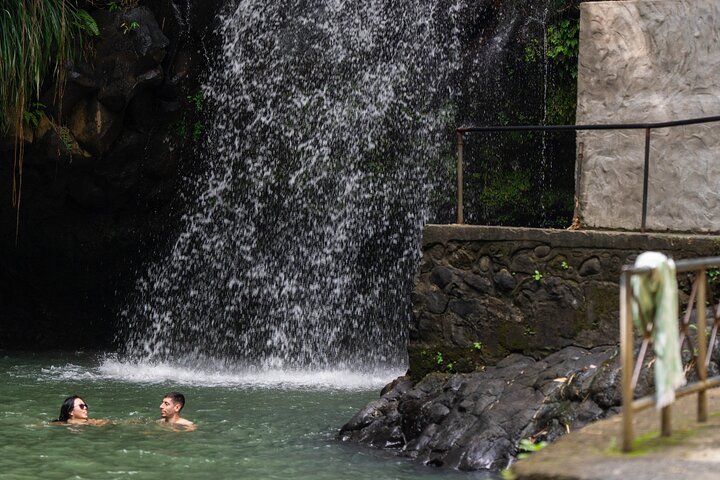 Explorer's Choice: Grenada Private Half Day Island Tour