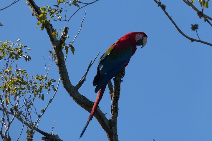 Connect with the nature of Iberá on a private tour
