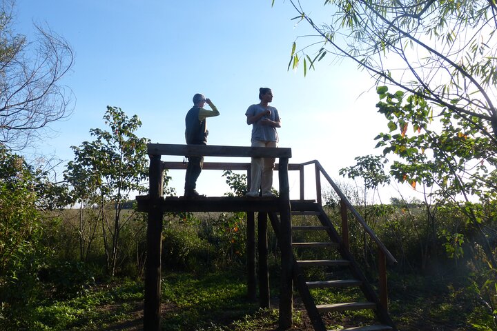 Connect with the nature of Iberá on a private tour