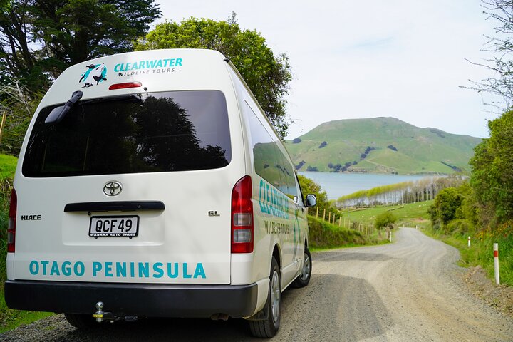 Clearwater Wildlife Tours (small group 10max) Otago Peninsula