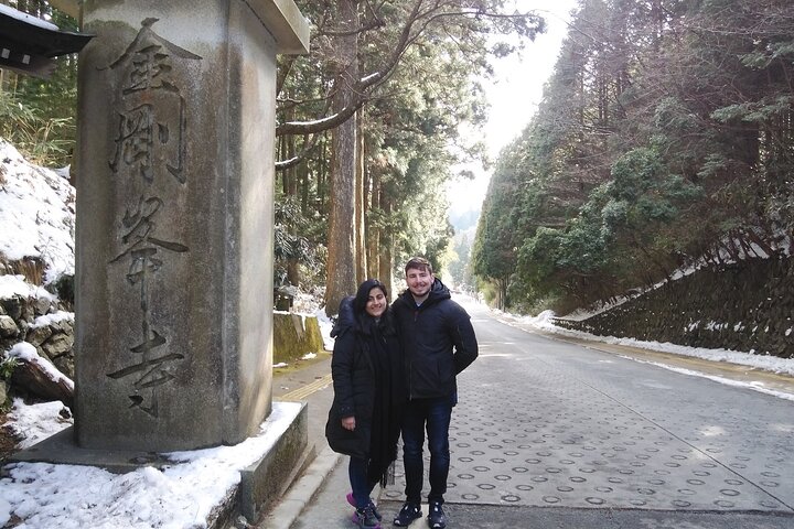 Mt. Koya Sacred Sites Half-Day Tour with Licensed Guide