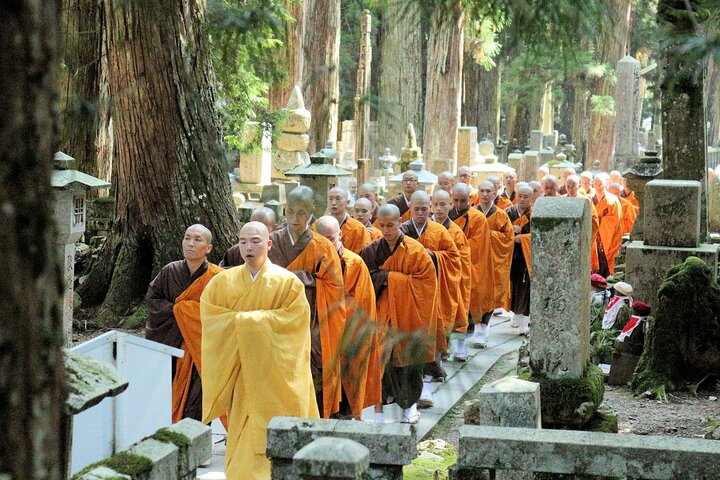 Mt. Koya Sacred Sites in 1 Day Tour with Licensed Guide