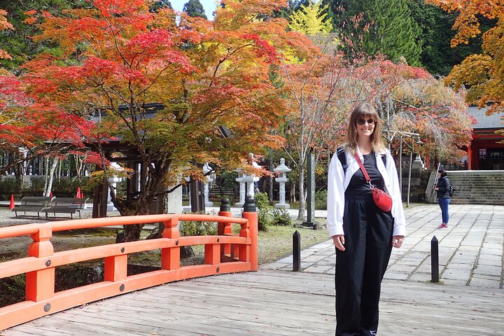 Mt. Koya Sacred Sites Half-Day Tour with Licensed Guide
