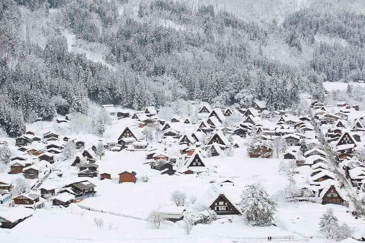 1 Day Private Charter Tour to Shirakawa-go & Takayama