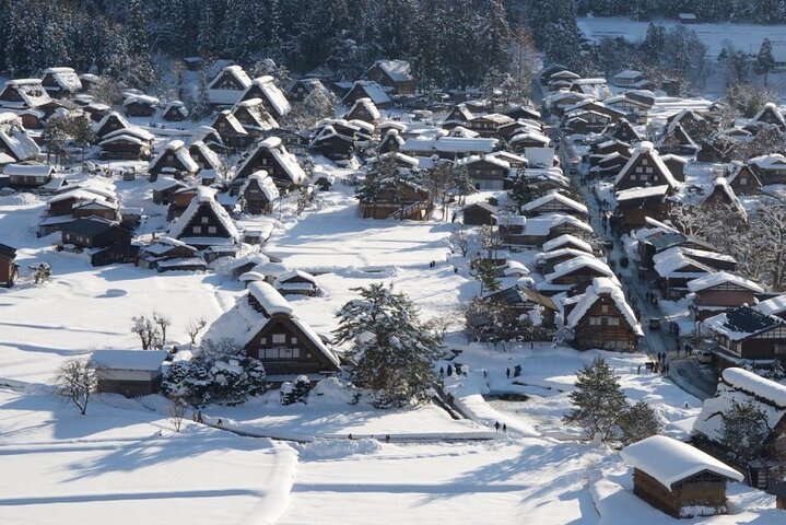 1 Day Private Charter Tour to Shirakawa-go & Takayama