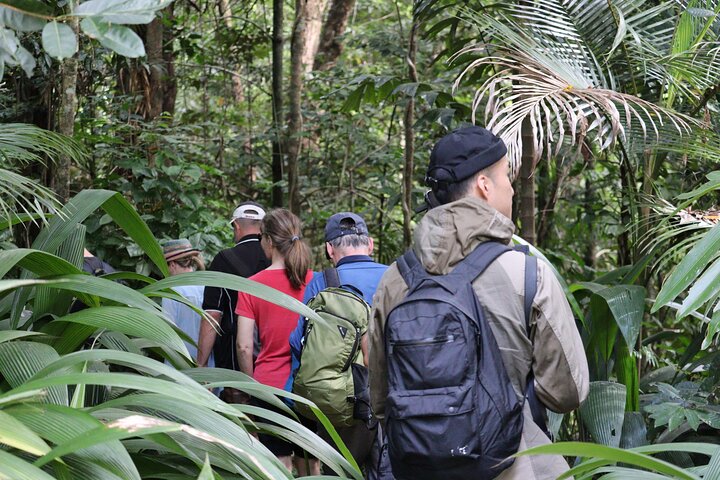 Cairns: Daintree & Cape Tribulation 2-Day Tour with Options