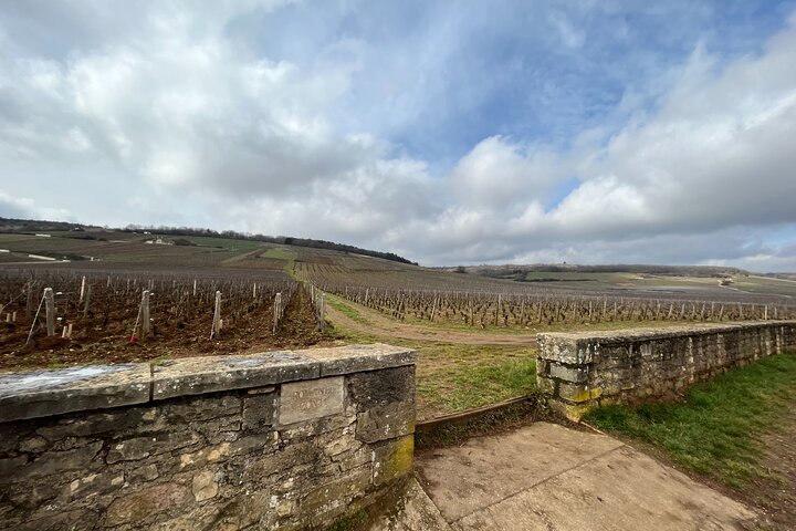 Burgundy Grand Crus Route Day Tour - 14 Wines Tastings in Domains