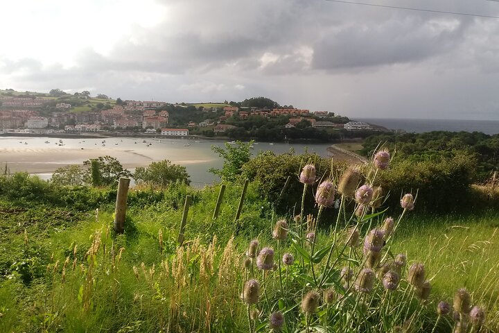 Santillana, Altamira, Comillas & San Vicente de la B. Guided Tour