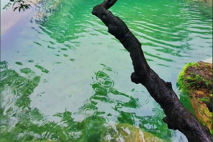 East Salalah mountain Safari - Full day tour