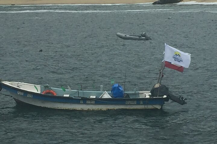 Private boat trip to see penguins from Valparaíso Cachagua Island