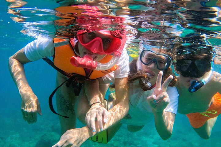 Private Snorkeling with turtles in Fujairah