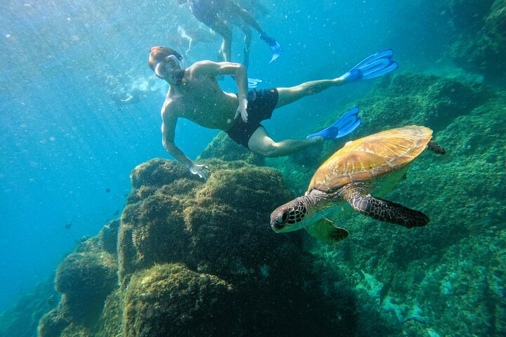 Private Snorkeling with turtles in Fujairah