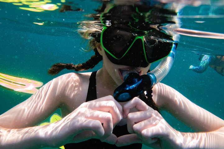 Private Snorkeling with turtles in Fujairah