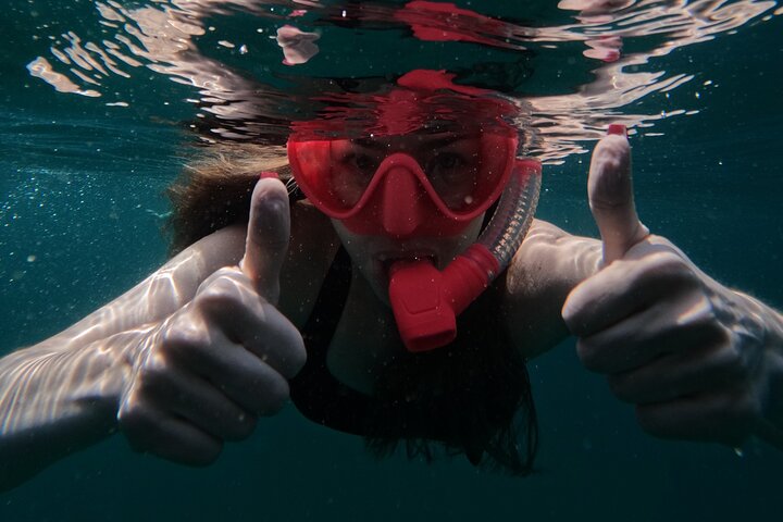 Private Snorkeling with turtles in Fujairah