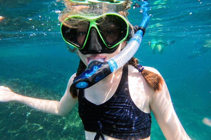 Private Snorkeling with turtles in Fujairah
